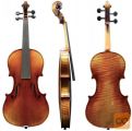 Violina Maestro V A