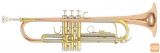 Trobenta Roy Benson Bb Tr-202G Student Pro