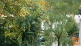 Celje Trubarjeva 2-sobno 56 m2