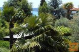 Piran Portorož, v bližini centra 3-sobno 110,9 m2