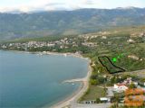 Jasenice Zazidljiva 1623 m2