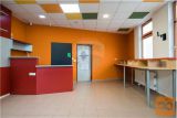 ULIČNI POSLOVNI PROSTOR - TRGOVINA V CENTRU PTUJA