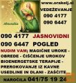 Z jasnovidnimi pogledi za prihodnost pri Oraklju 0904177