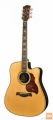 RICHWOOD D-70-CEVA MASTER Akustična kitara akustične kitare