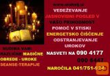 JASNOVIDNI PRI ORAKLJU NAROČILA 041751924 NASVETI 0904177