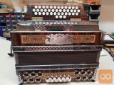 NOVA DIATONIČNA HARMONIKA PLOHL MODEL VIRTUOZ C.F.B