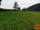 Šentrupert Okrog 2411 m2