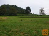 Šentrupert Okrog 2411 m2