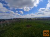 Moravske Toplice Moravske Toplice Zazidljiva 1970 m2