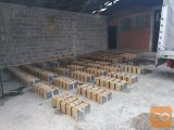 Čebele paketni roj